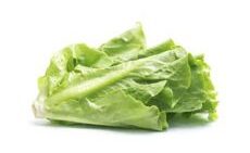 product13 free img 230x300.jpg